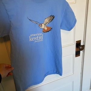 5 for $25 American Kestral birding t-shirt